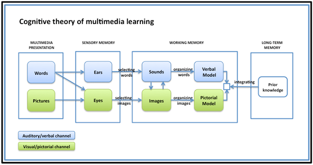 cognitive theory of multimedia learning