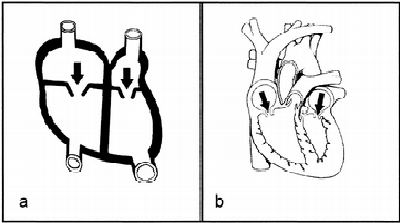 From Butcher. J of Educ Psychol 2006;98:182